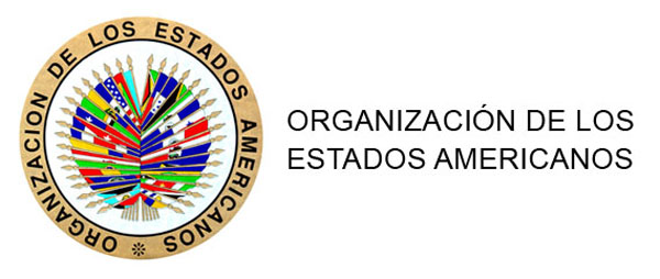 Argentina: Conadis en la Reunión del Comité de Discapacidad de la OEA
